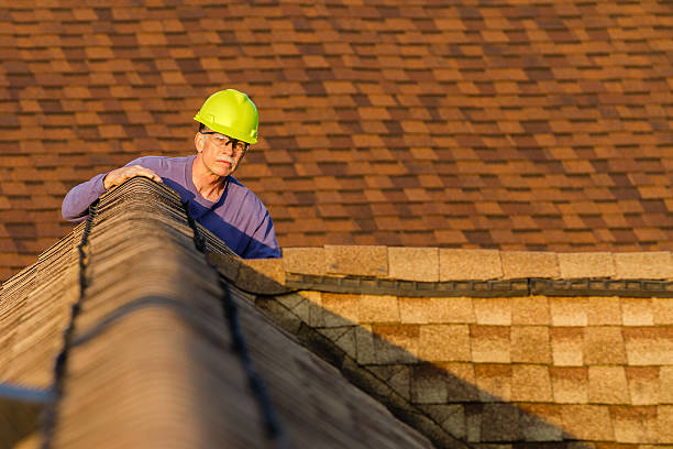 Best Roof Maintenance Services  in Allen Park, MI