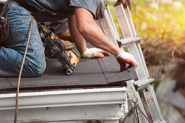 Best Metal Roofing Contractor  in Allen Park, MI